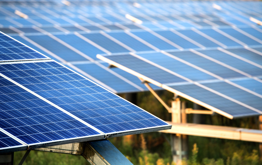 Low Carbon Pledge